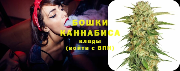 ГАЛЛЮЦИНОГЕННЫЕ ГРИБЫ Абаза