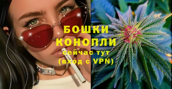 сатива Михайловка